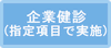企業健診(指定項目で実施)