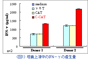 図1：培養上清中のIFN−γの産生量