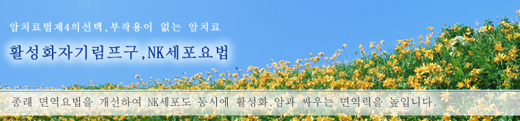 암치료법제4의선택,부작용이 없는 암치료