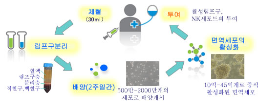 치료의 흐름