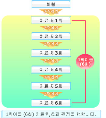 치료의 흐름,1싸이클 (6회) 치료후,효과 판정을 행합니다.