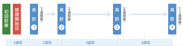 スケジュール